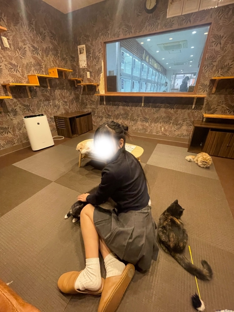 女の子ブログ画像