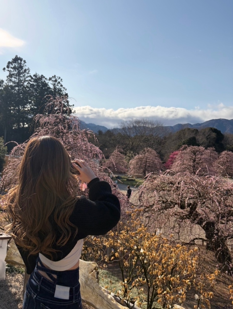 新着女の子ブログ画像