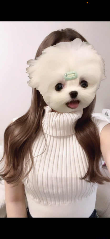 女の子ブログ画像
