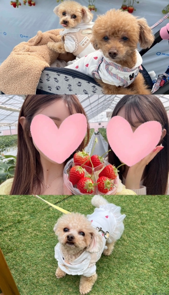 新着女の子ブログ画像