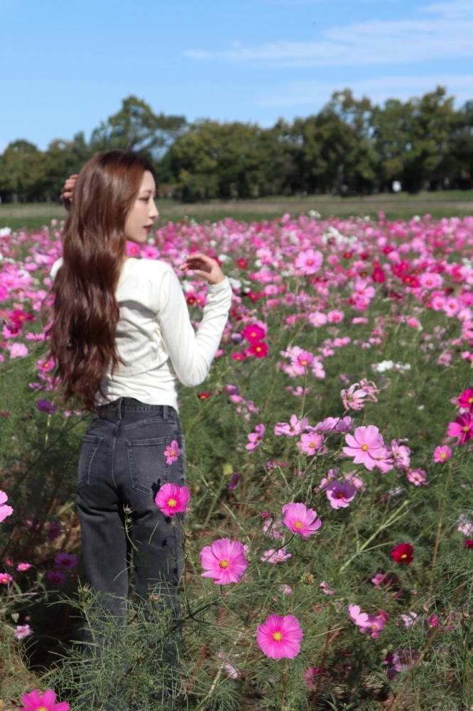 女の子ブログ画像