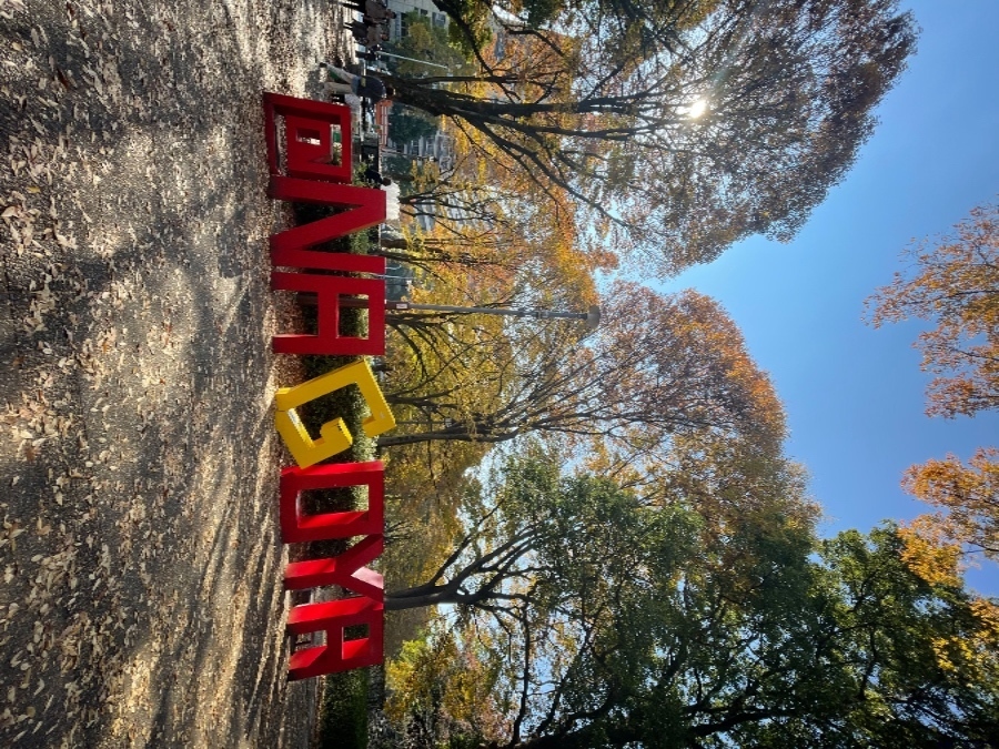 スタッフブログ画像