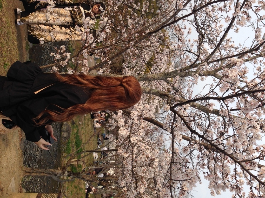 新着女の子ブログ画像