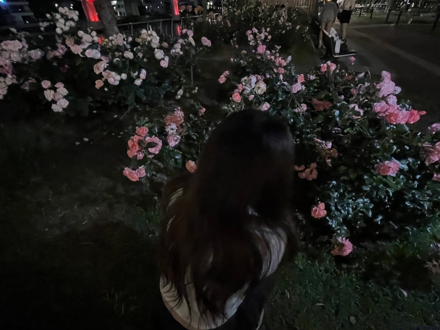 女の子ブログ画像