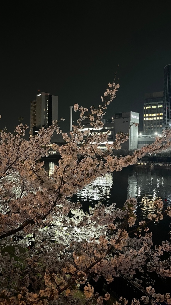 スタッフブログ画像