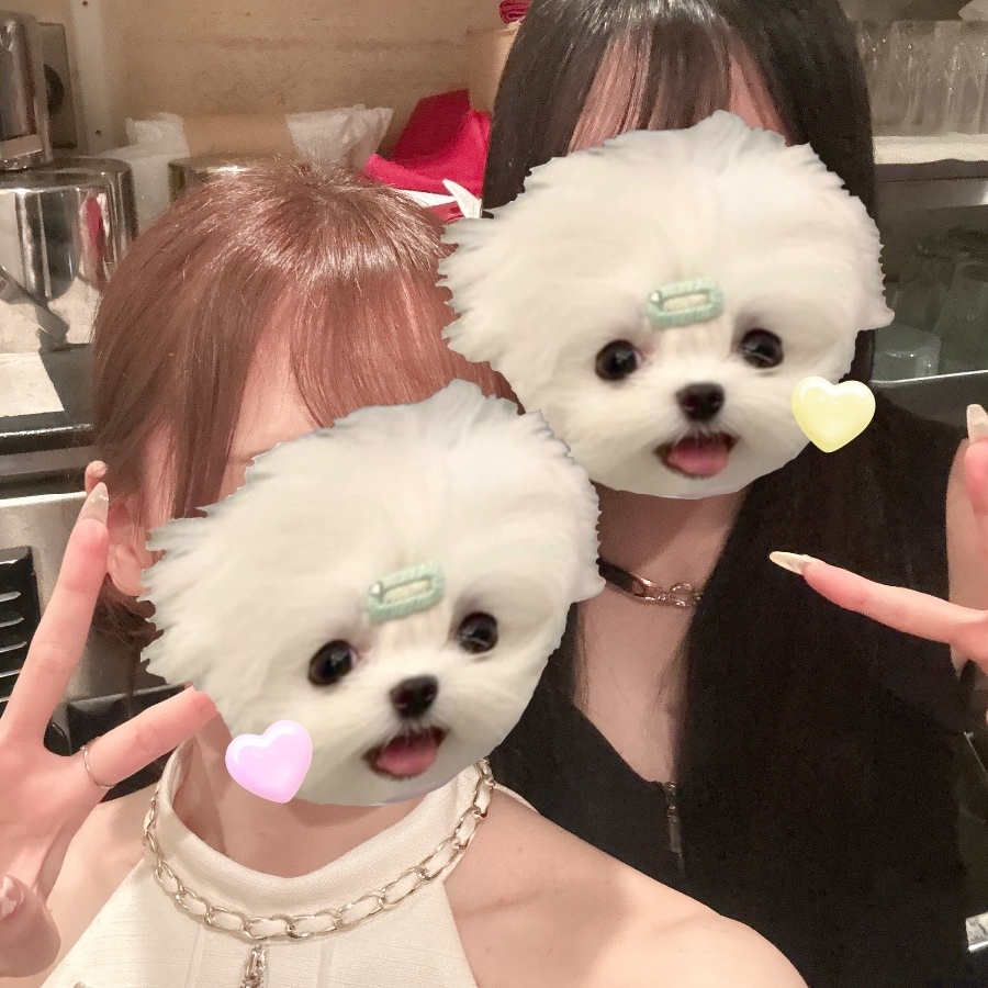 新着女の子ブログ画像