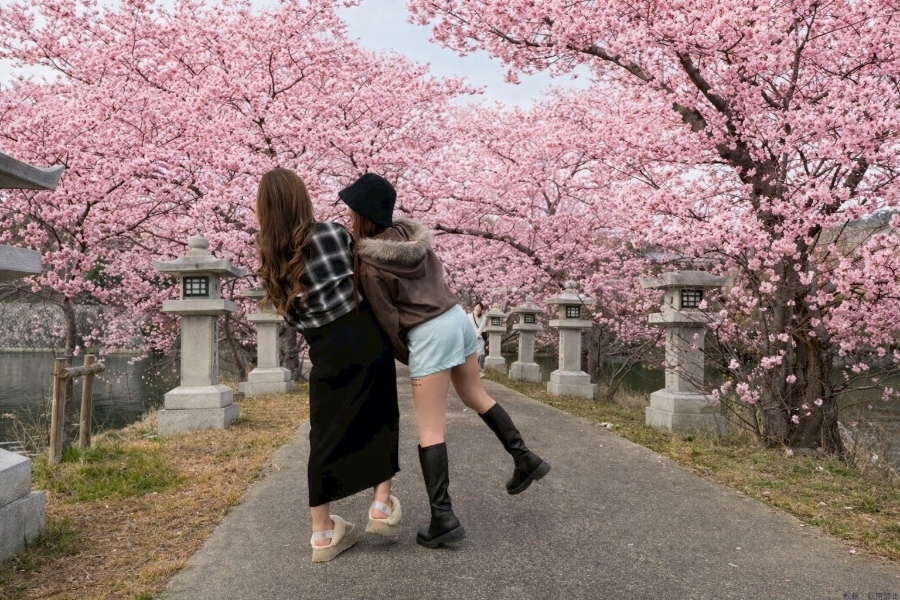 女の子ブログ画像