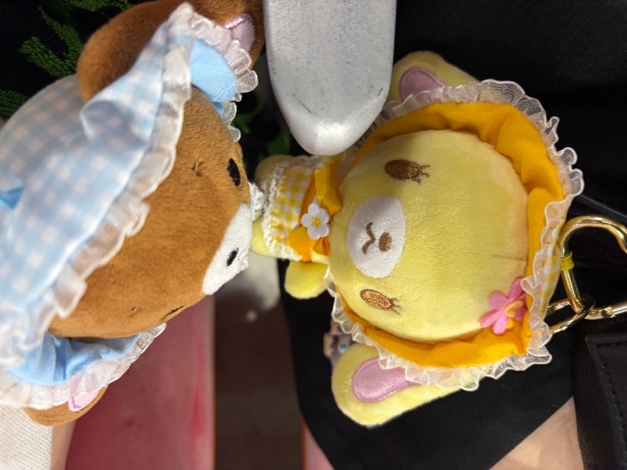 新着女の子ブログ画像
