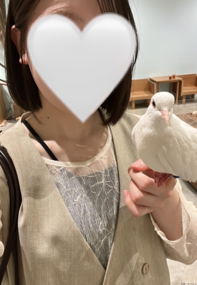 新着女の子ブログ画像