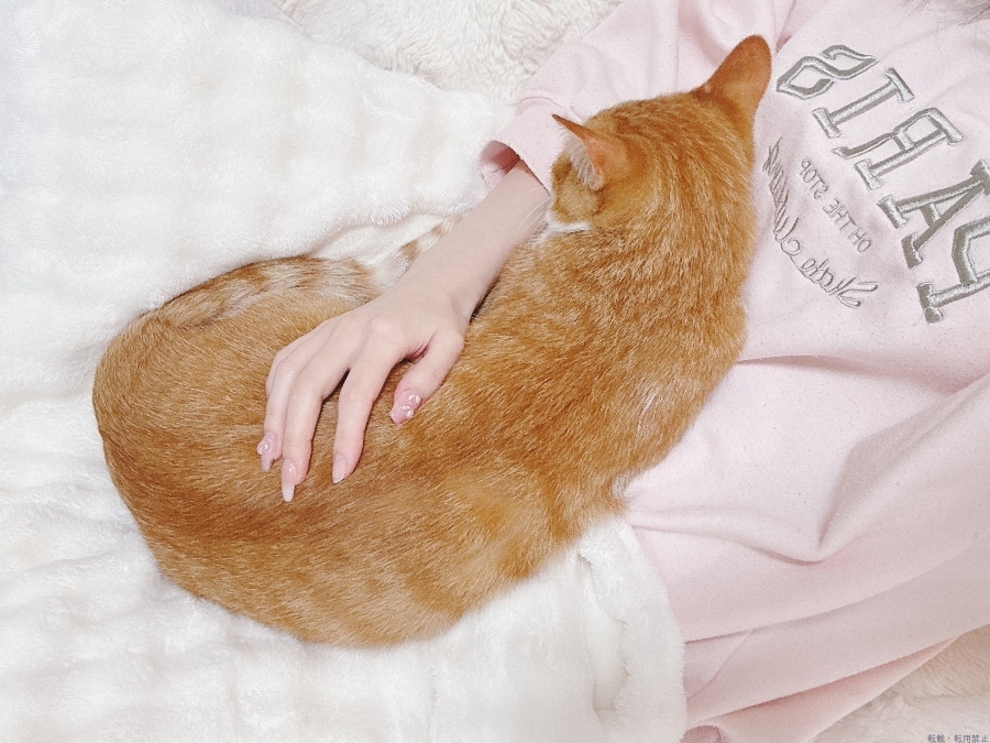 女の子ブログ画像