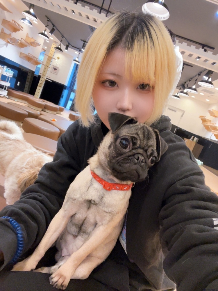 新着女の子ブログ画像