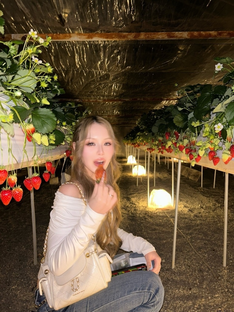 新着女の子ブログ画像