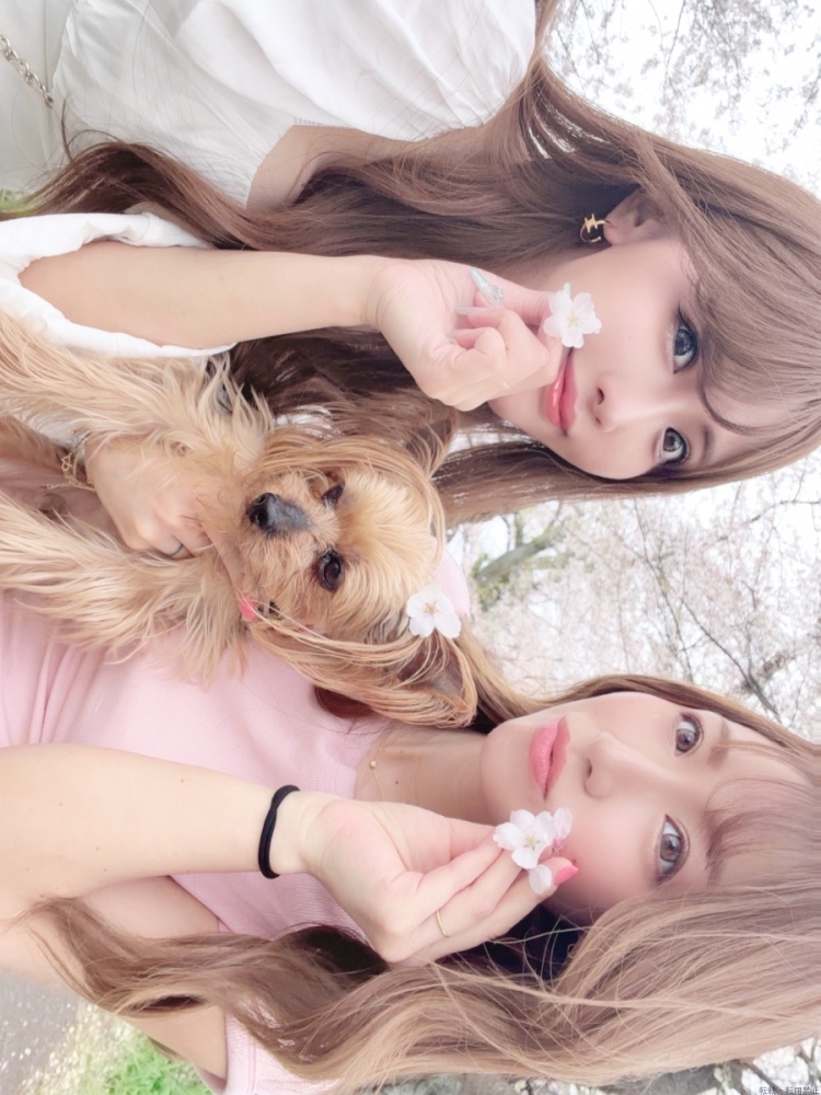 新着女の子ブログ画像