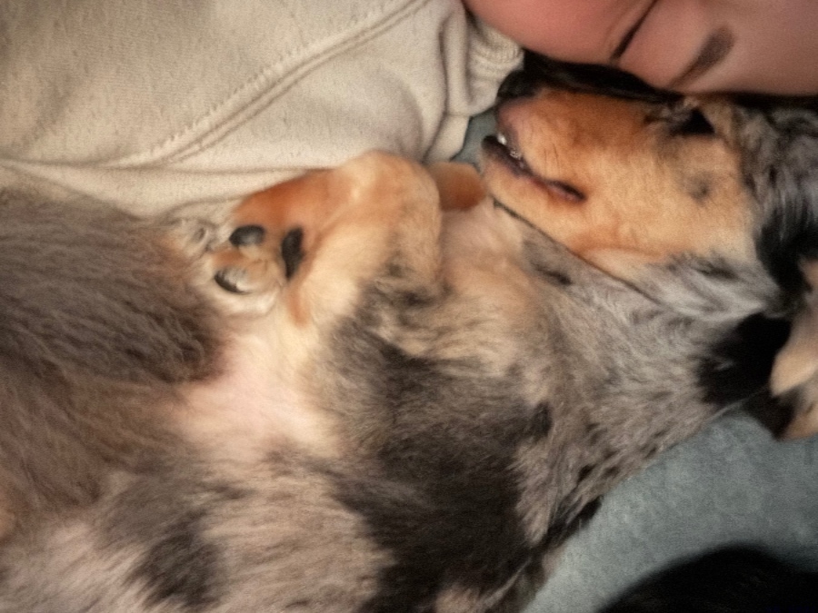 女の子ブログ画像