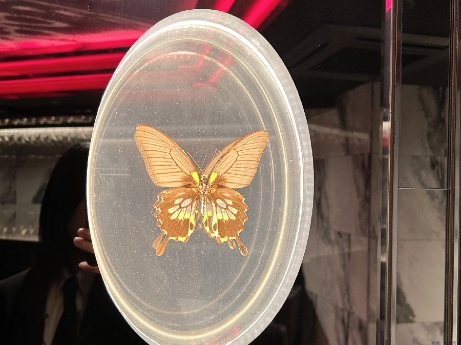 スタッフブログ画像