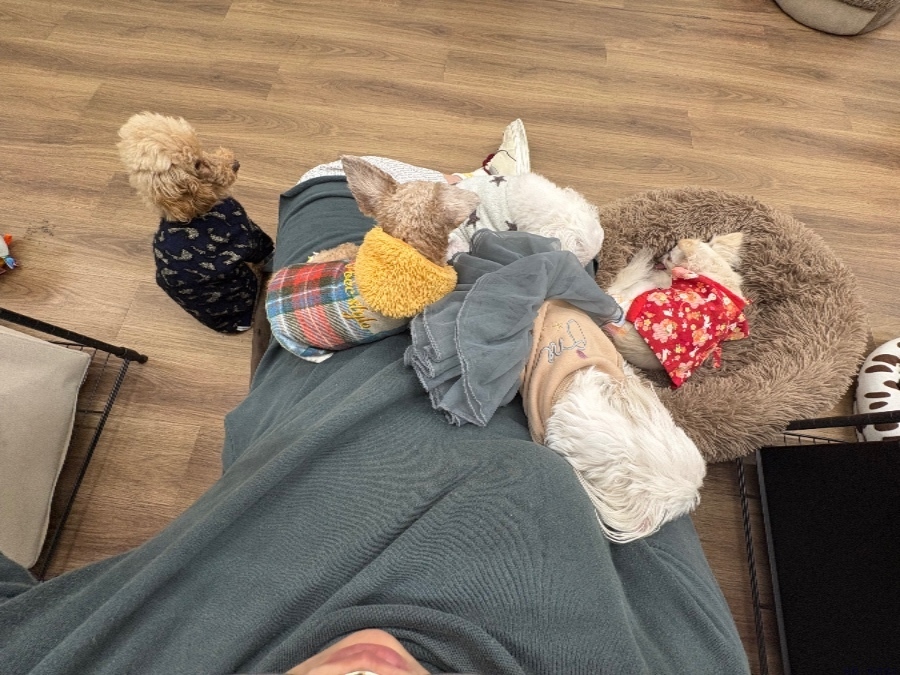 女の子ブログ画像