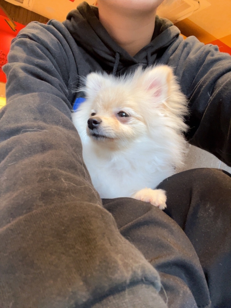 女の子ブログ画像