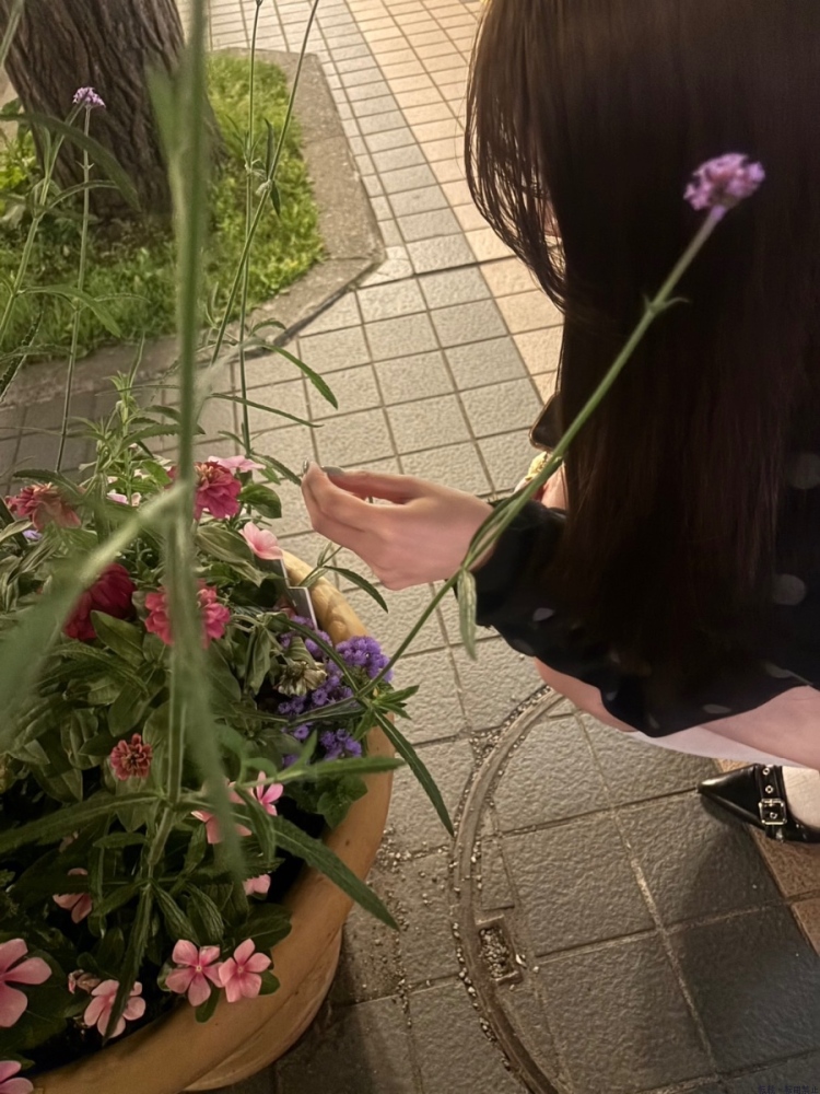 新着女の子ブログ画像