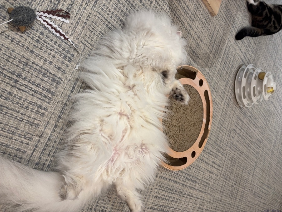 新着女の子ブログ画像