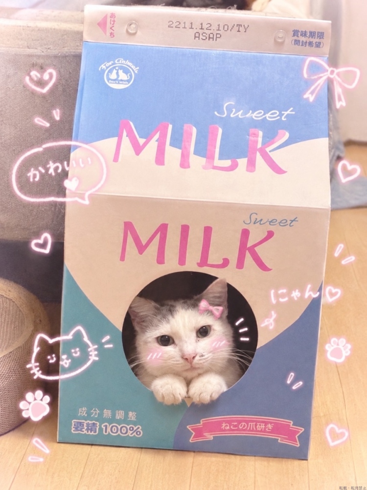 女の子ブログ画像