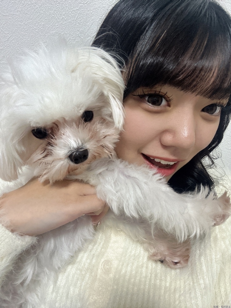 女の子ブログ画像