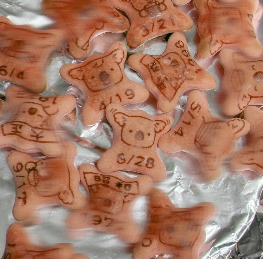 新着女の子ブログ画像