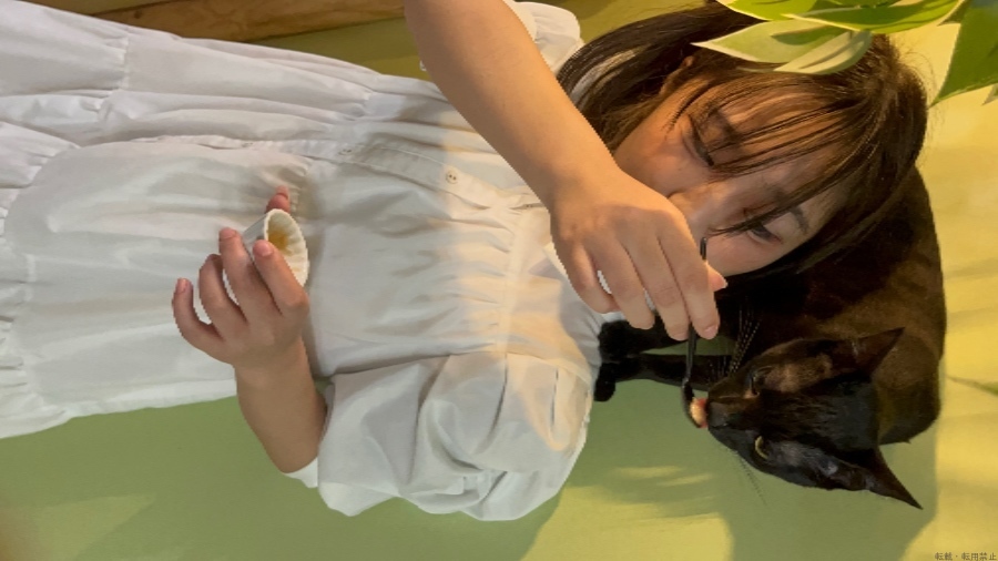 女の子ブログ画像