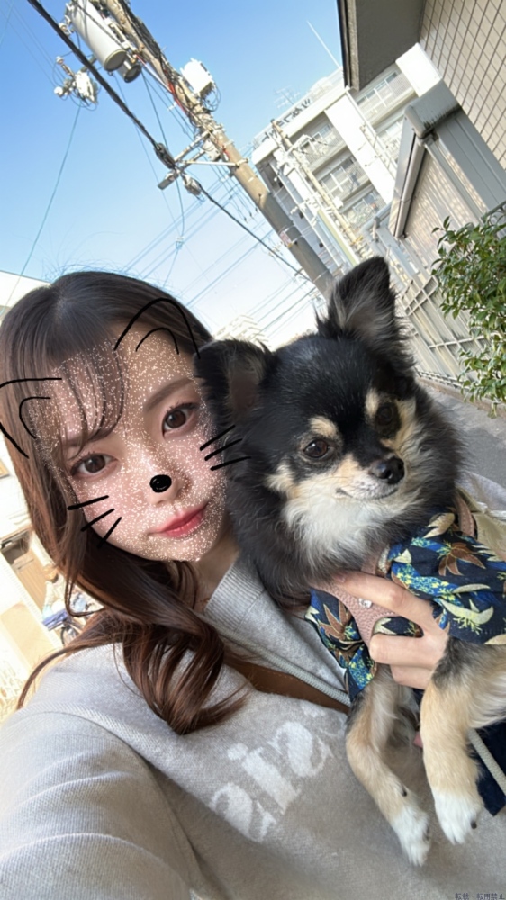 女の子ブログ画像