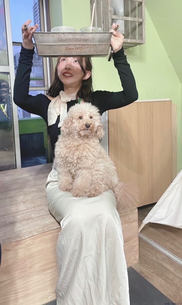 女の子ブログ画像