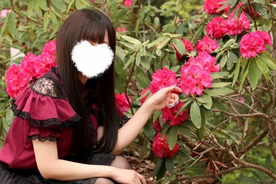 女の子ブログ画像