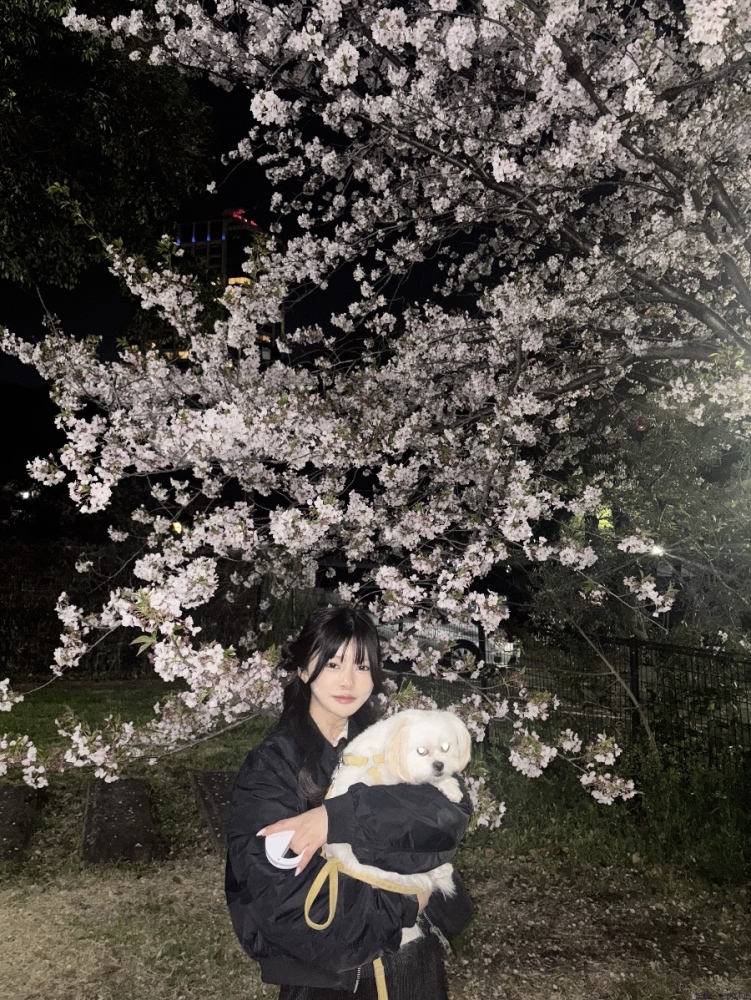 女の子ブログ画像