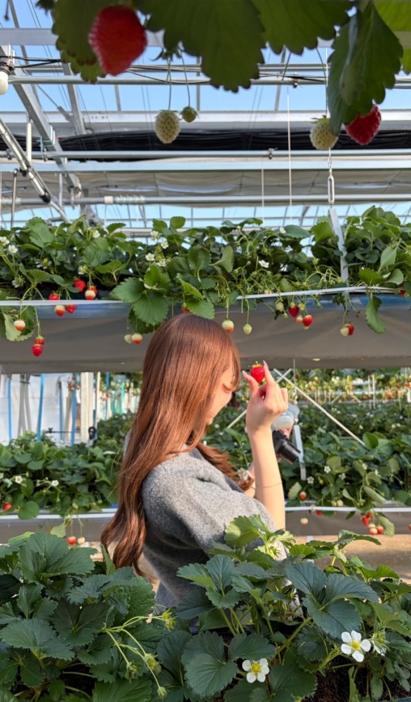 新着女の子ブログ画像