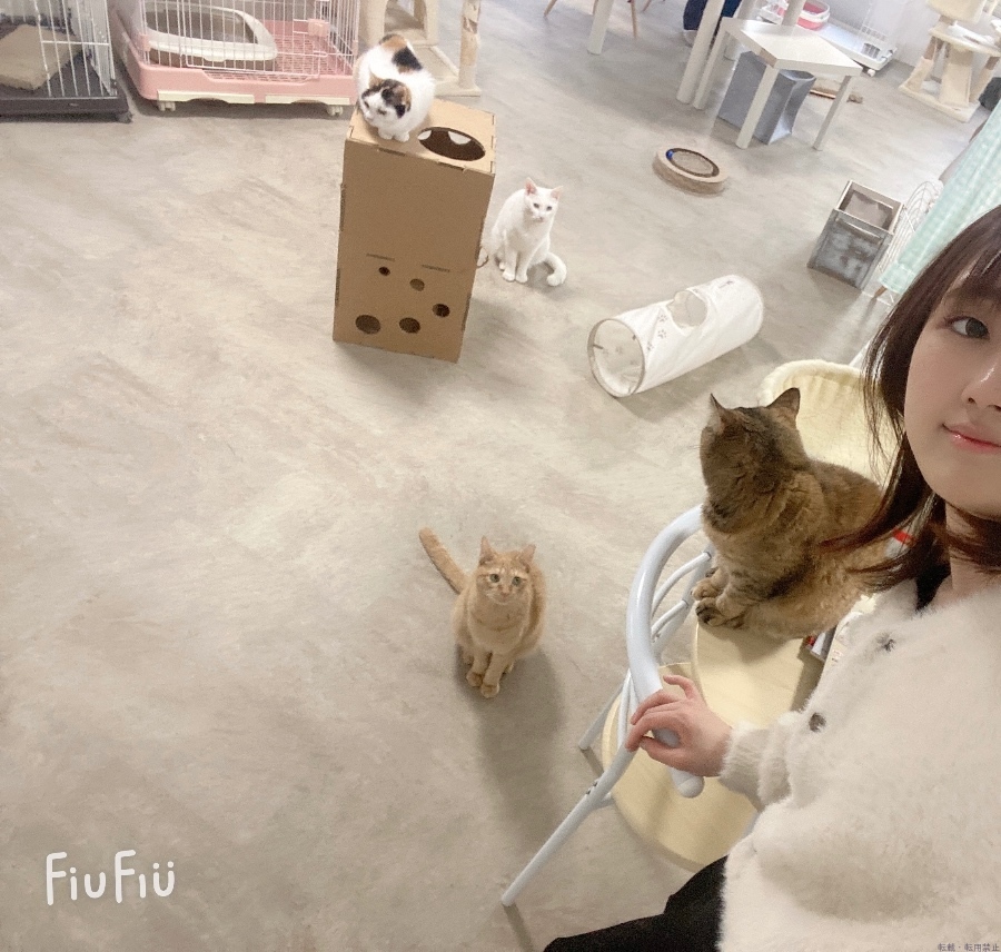 女の子ブログ画像