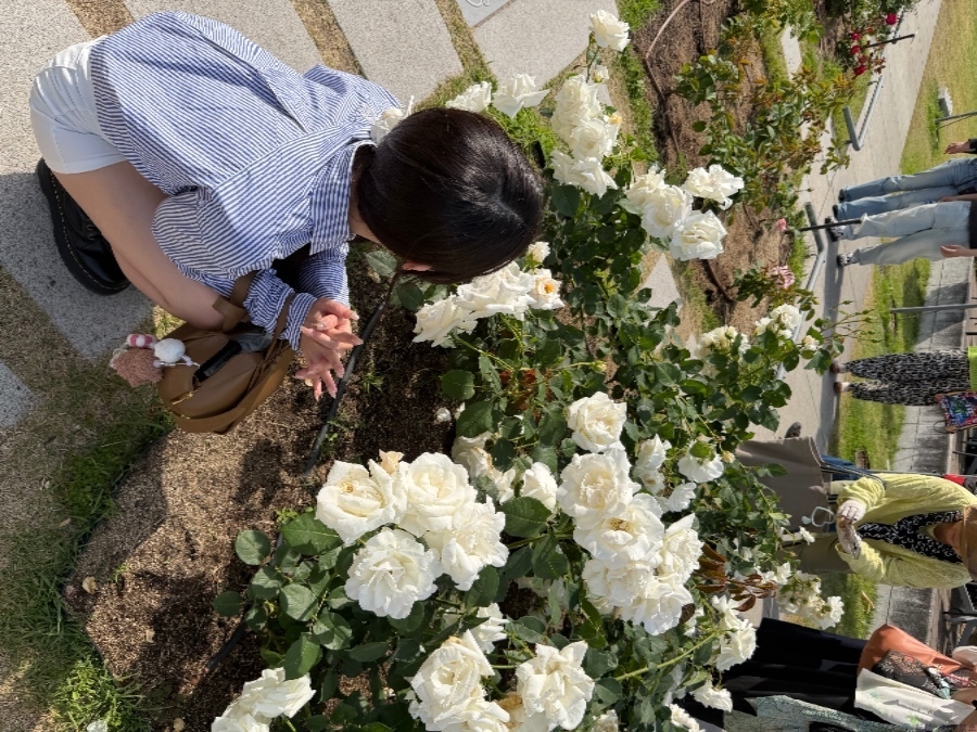 新着女の子ブログ画像