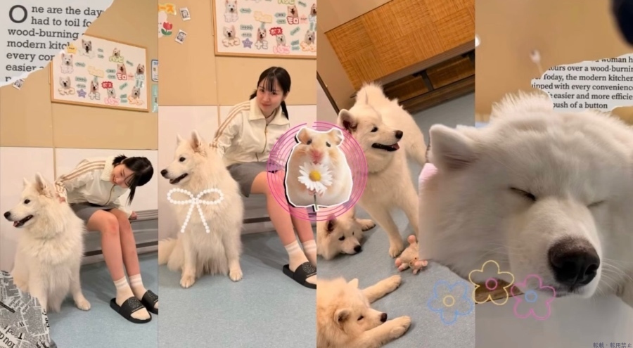 新着女の子ブログ画像