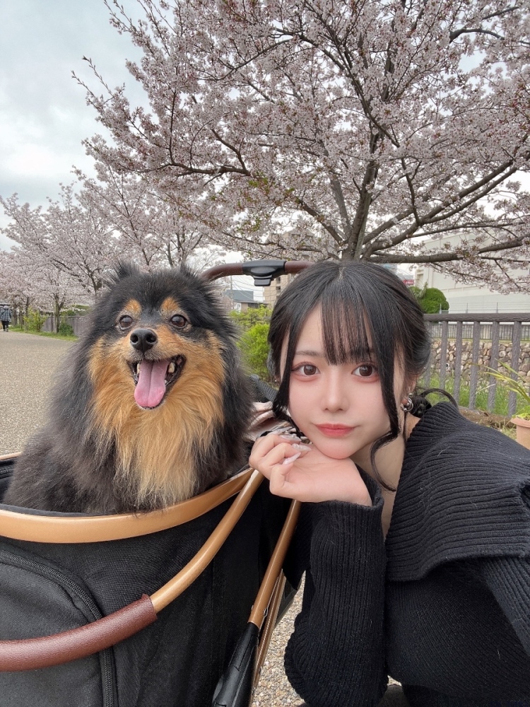 女の子ブログ画像