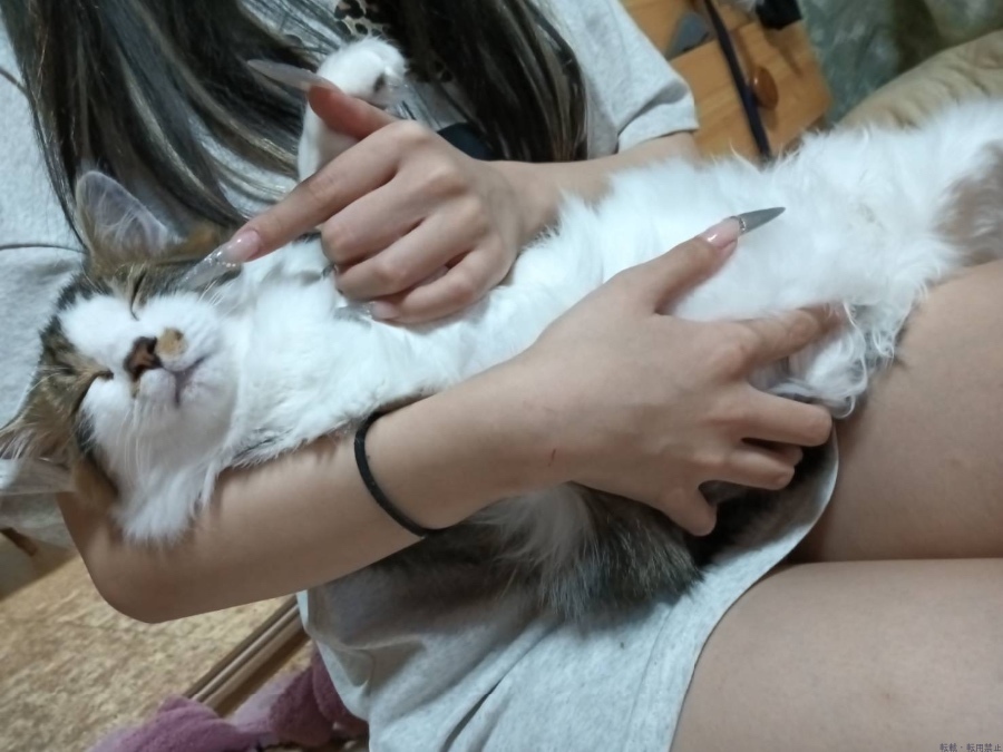 新着女の子ブログ画像