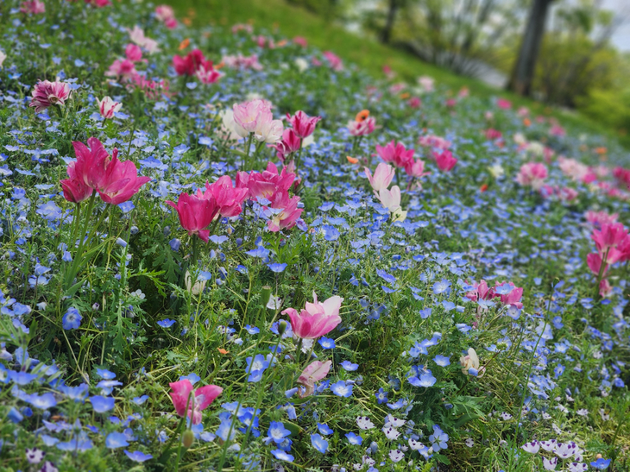 新着女の子ブログ画像