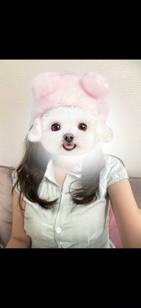 新着女の子ブログ画像