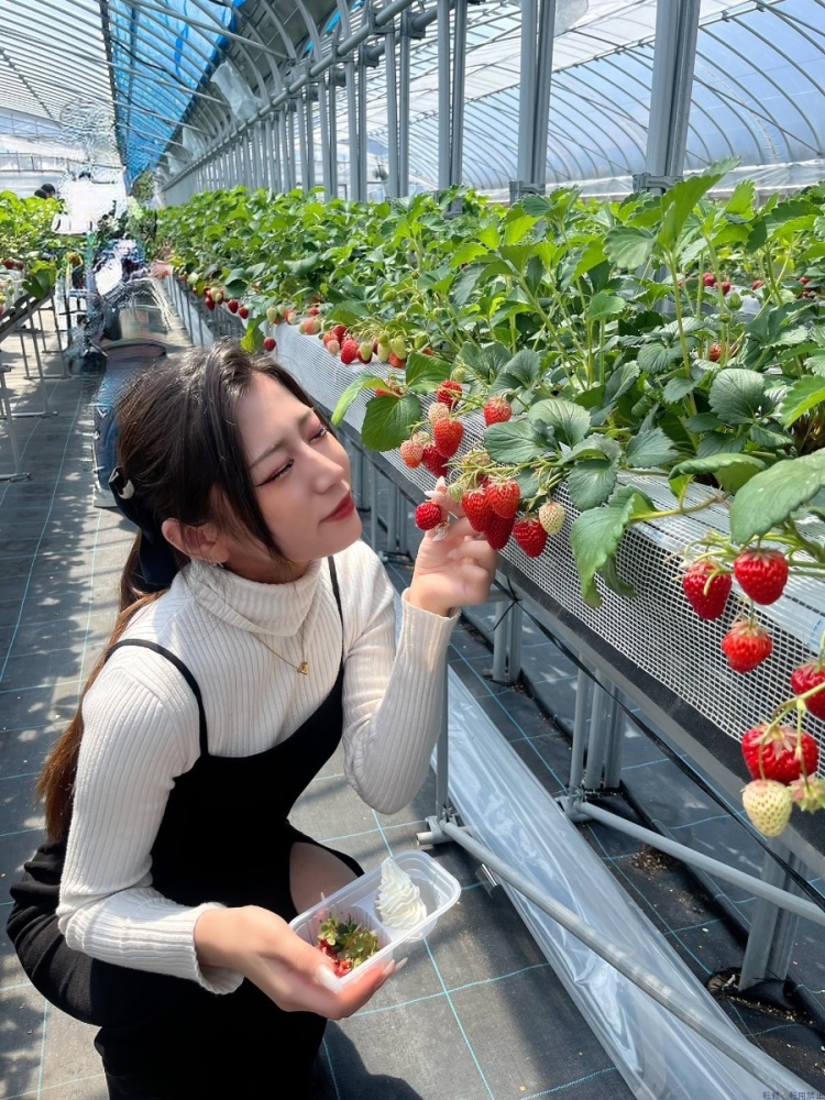 新着女の子ブログ画像