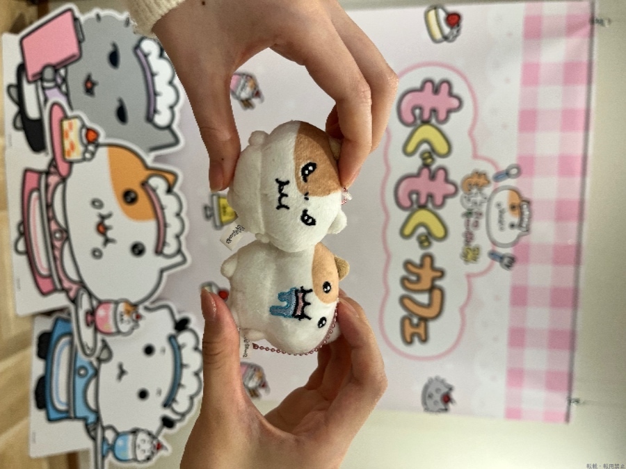 新着女の子ブログ画像