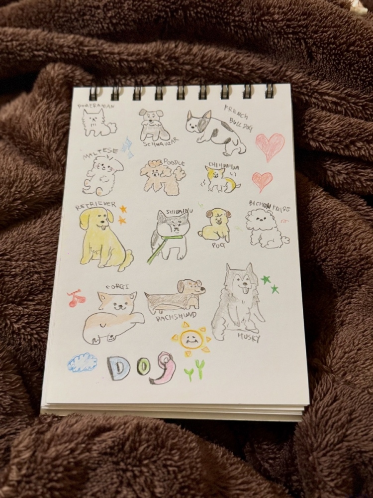 女の子ブログ画像