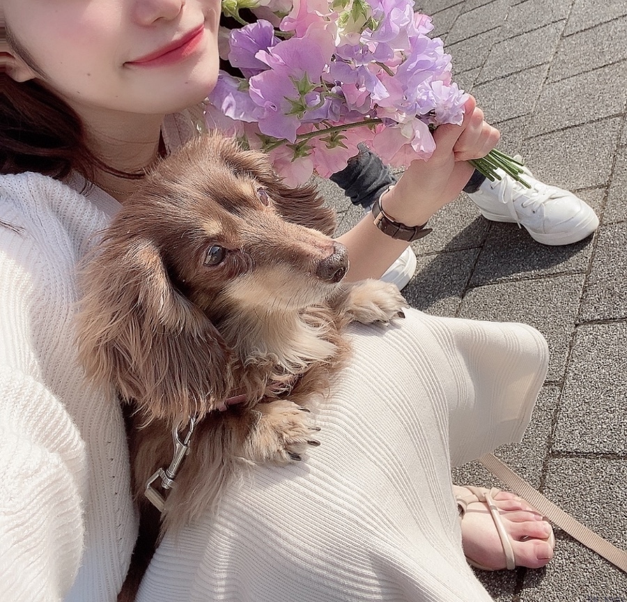 女の子ブログ画像