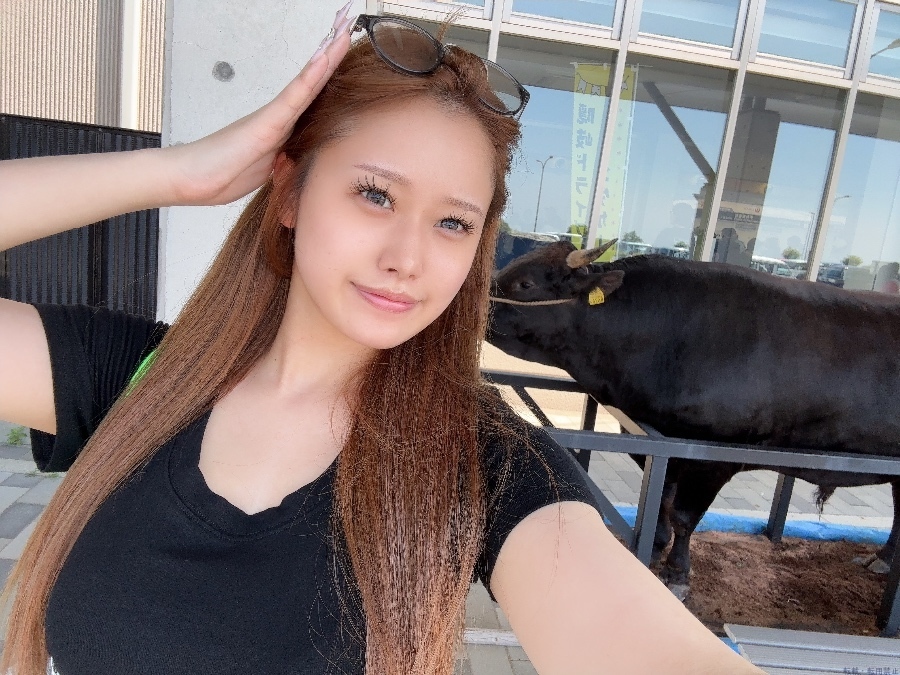 新着女の子ブログ画像