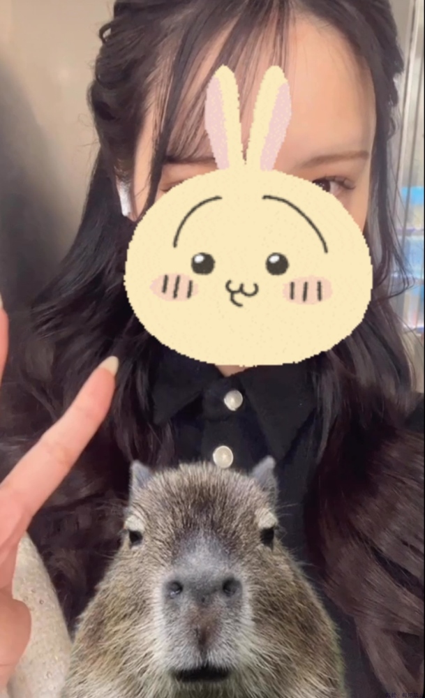 女の子ブログ画像