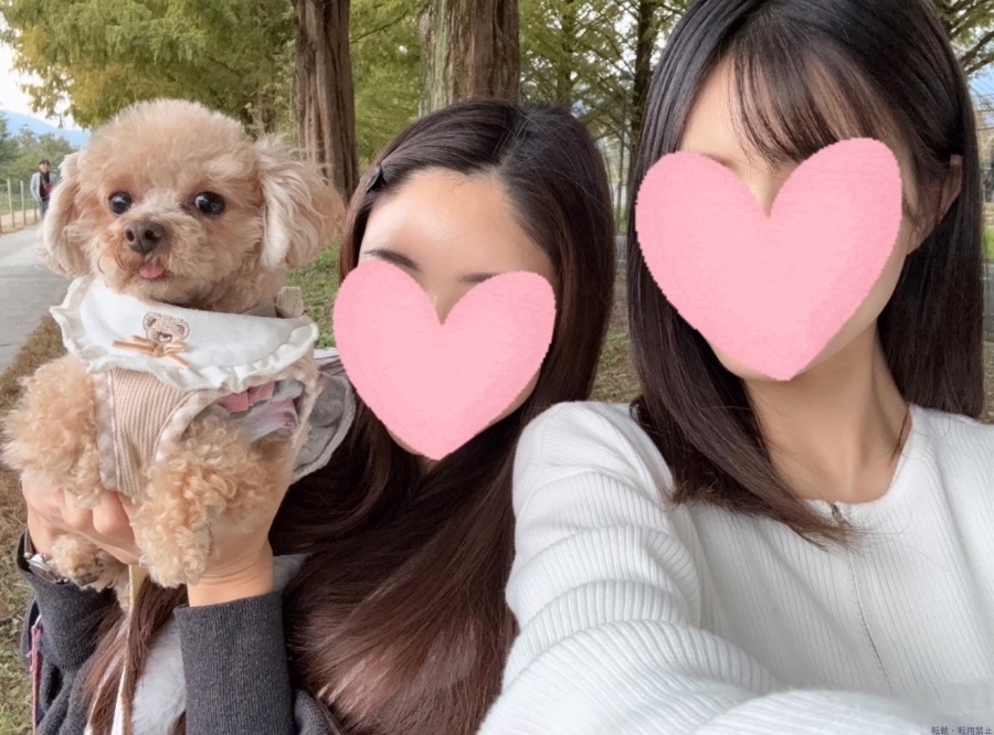 女の子ブログ画像