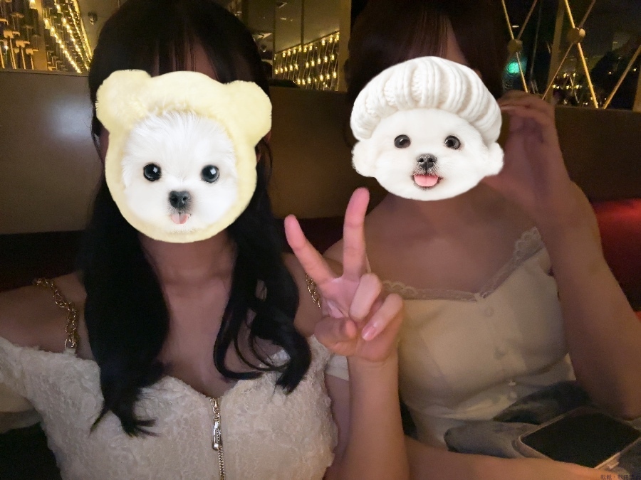 新着女の子ブログ画像