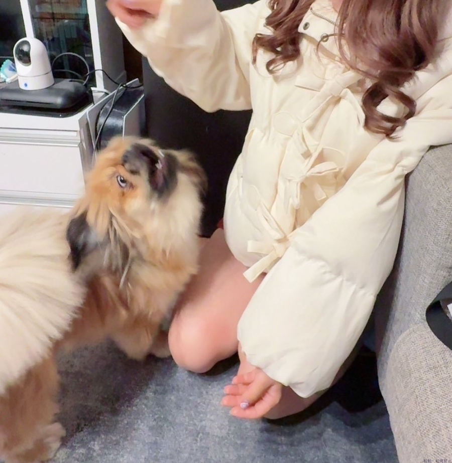 新着女の子ブログ画像