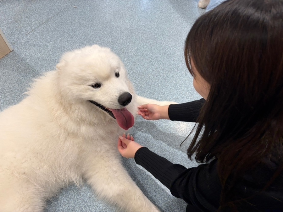 新着女の子ブログ画像