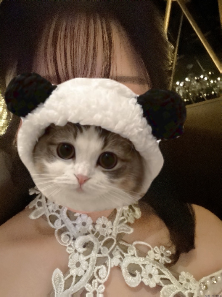 スタッフブログ画像